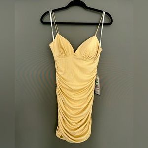 Women’s dress, form fitting